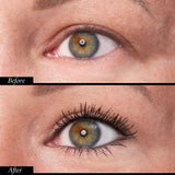 Always There Lengthening Mascara Classic + Waterproof Duo 2024