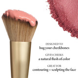 Angled Blush Brush product benefits