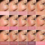 Blush-n-Brighten Macro Model Shade Grid 15 Shades