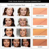 Cancel-n-Conceal Model and Shade Grid All Shades